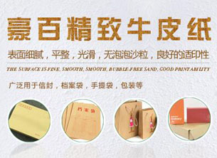 蘇州網(wǎng)站排名案例之豪百紙業(yè)有限公司