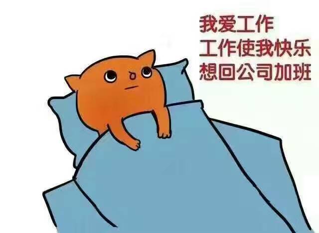 網(wǎng)站的實用性設(shè)計