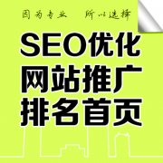 蘇州網(wǎng)站優(yōu)化提升網(wǎng)站排名的方法